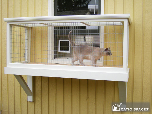 Building A Cat Window Box Building A Cat Window Box