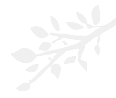grey branch decoration