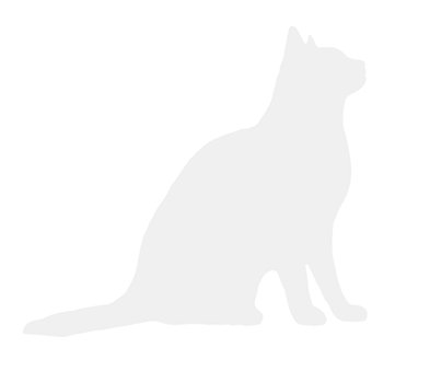 grey cat decoration